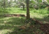 Residential Land for Sale in Padukka