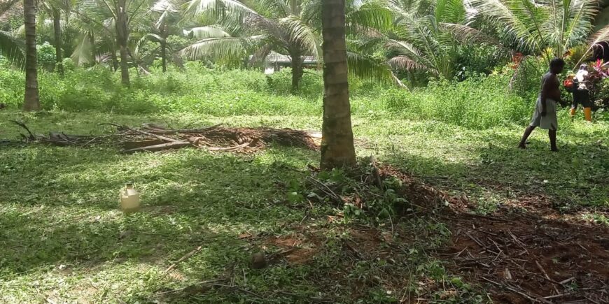 Residential Land for Sale in Padukka