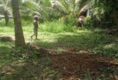 Residential Land for Sale in Padukka