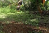 Residential Land for Sale in Padukka
