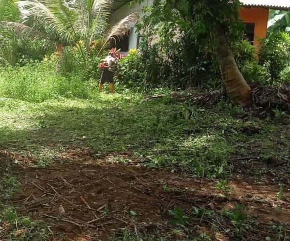 Residential Land for Sale in Padukka