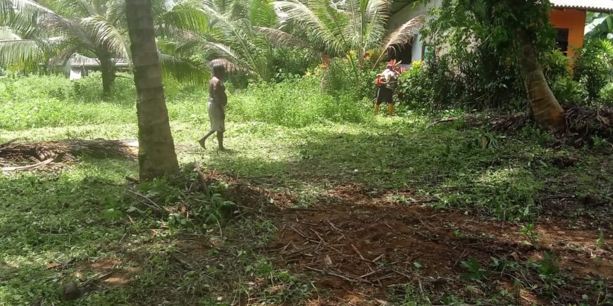 Residential Land for Sale in Padukka