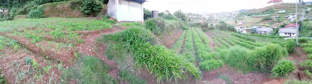 Residential Land for Sale in Nuwara Eliya