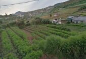 Residential Land for Sale in Nuwara Eliya