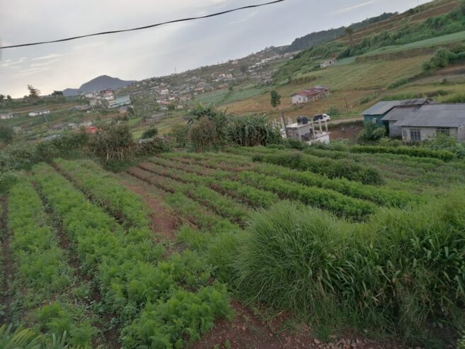 Residential Land for Sale in Nuwara Eliya
