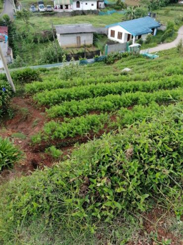 Residential Land for Sale in Nuwara Eliya