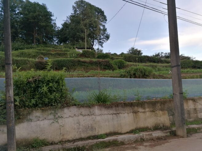 Residential Land for Sale in Nuwara Eliya