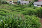 Residential Land for Sale in Nuwara Eliya