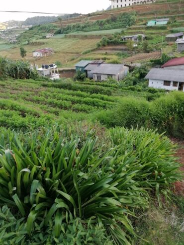 Residential Land for Sale in Nuwara Eliya