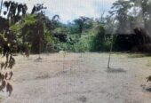 Land For Sale In Mathugama