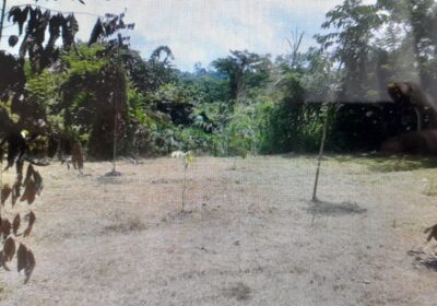 Land For Sale In Mathugama
