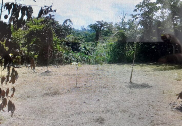 Land For Sale In Mathugama