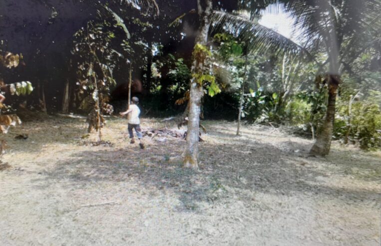 Land For Sale In Mathugama
