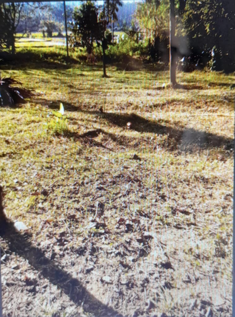 Land For Sale In Mathugama