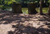 89 Perches River Front Bare Land in Panadura for Sale