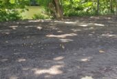 89 Perches River Front Bare Land in Panadura for Sale
