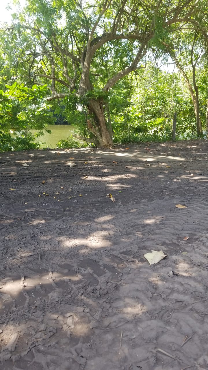 89 Perches River Front Bare Land in Panadura for Sale