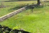 Land for Sale – Sammanthura