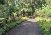 ඉඩම සහිත නිවස විකීනීමට