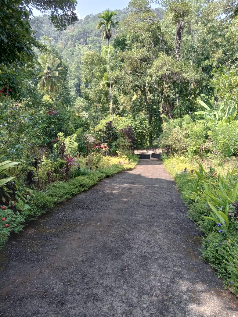 ඉඩම සහිත නිවස විකීනීමට