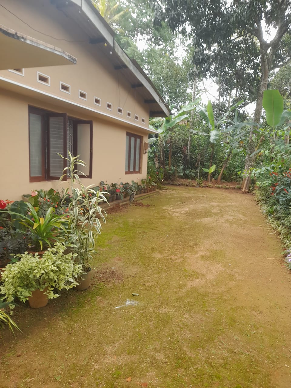 ඉඩම සහිත නිවස විකීනීමට