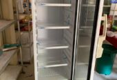 Bottle Cooler with Deep Freezer