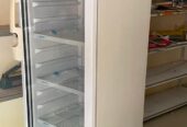 Bottle Cooler with Deep Freezer