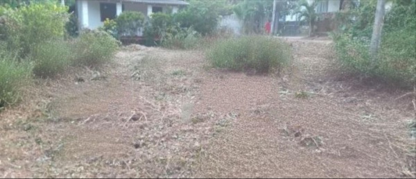 Commercial Land for Sale in Kandana