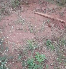 Land Sale Padukka
