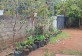 House for Sale in Anuradhapura