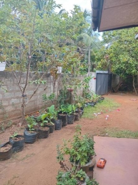 House for Sale in Anuradhapura