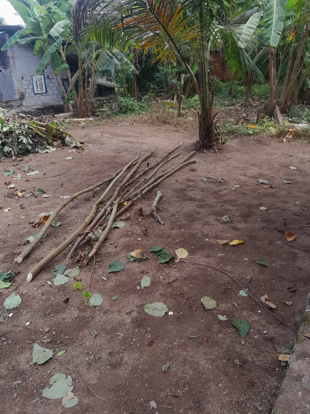 Land for Sale Padukka