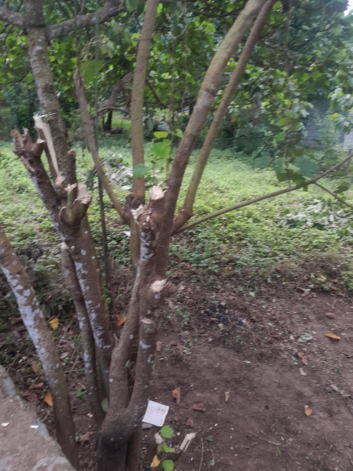 Land for Sale Padukka