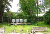 Commercial Building for Sale Near Moratuwa