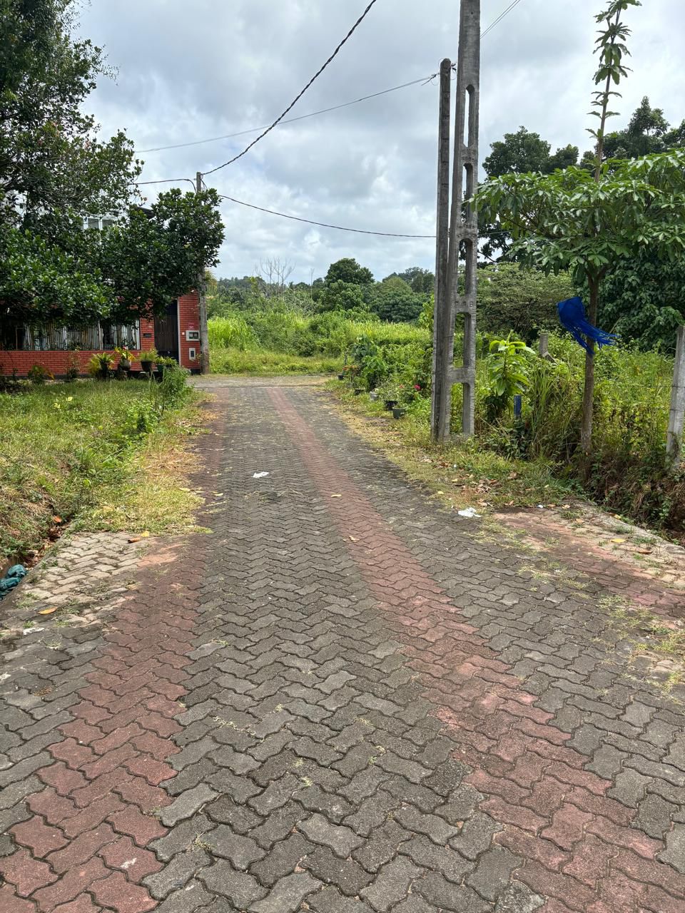 1/4 Galwarusawa Road Land for Sale Athurugiriya