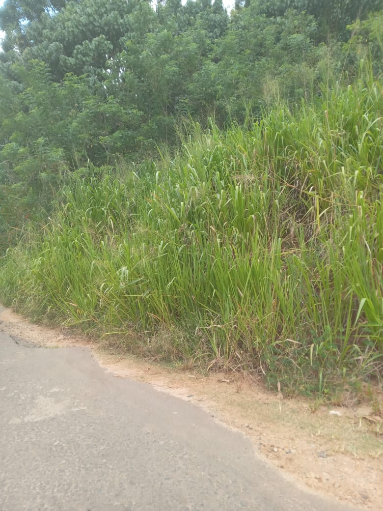 නුවර නගරයට ආසන්නයෙන් ඉඩමක් විකිනීමට යටිහලගල