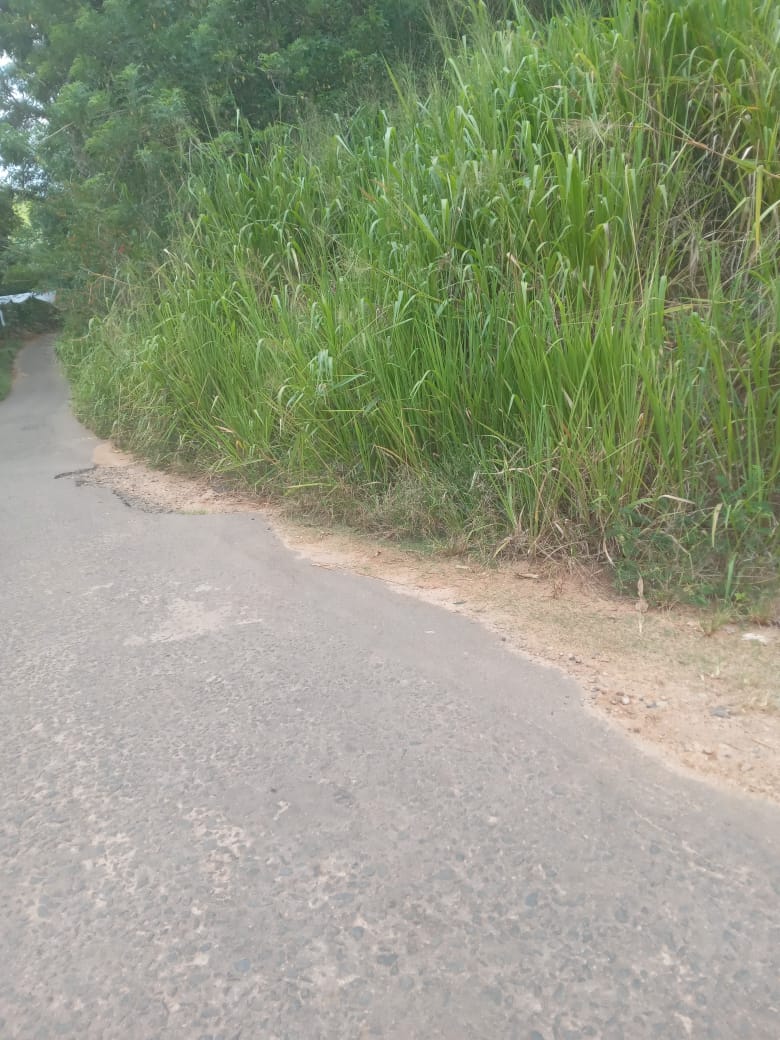 නුවර නගරයට ආසන්නයෙන් ඉඩමක් විකිනීමට යටිහලගල