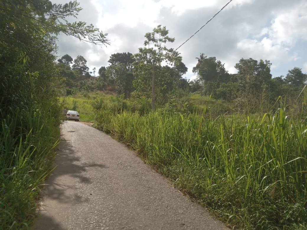 නුවර නගරයට ආසන්නයෙන් ඉඩමක් විකිනීමට යටිහලගල