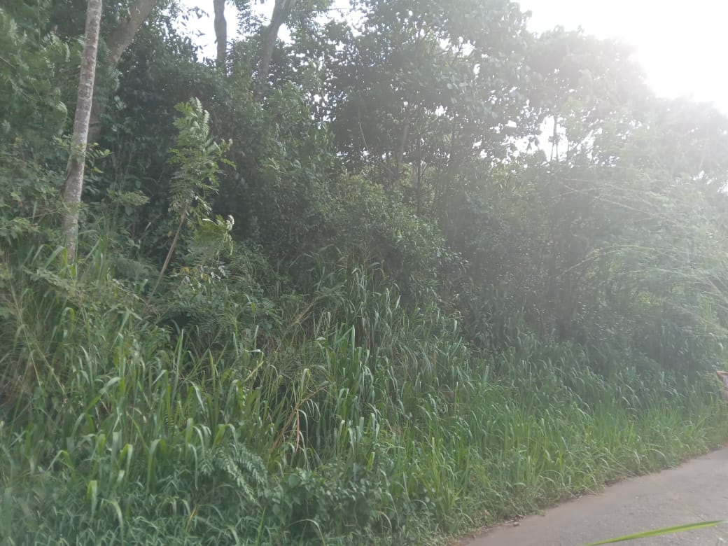 නුවර නගරයට ආසන්නයෙන් ඉඩමක් විකිනීමට යටිහලගල