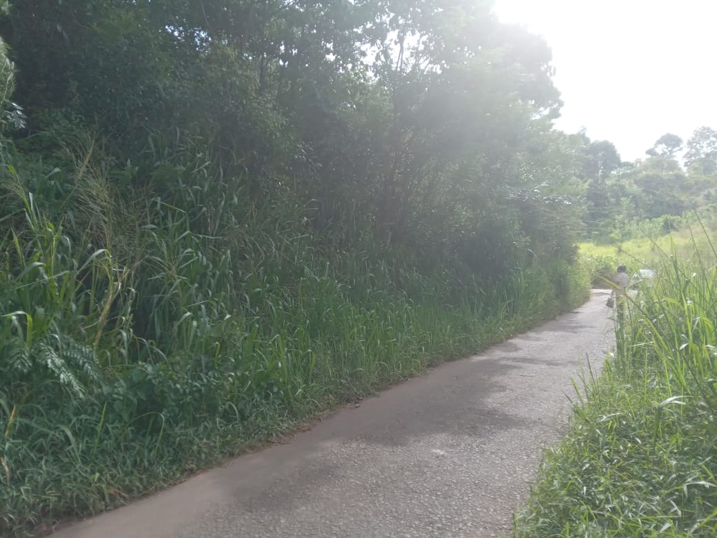 නුවර නගරයට ආසන්නයෙන් ඉඩමක් විකිනීමට යටිහලගල