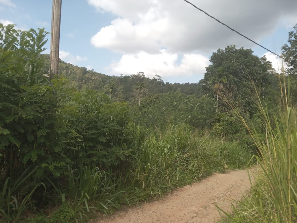 නුවර නගරයට ආසන්නයෙන් ඉඩමක් විකිනීමට යටිහලගල