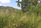 නුවර නගරයට ආසන්නයෙන් ඉඩමක් විකිනීමට යටිහලගල