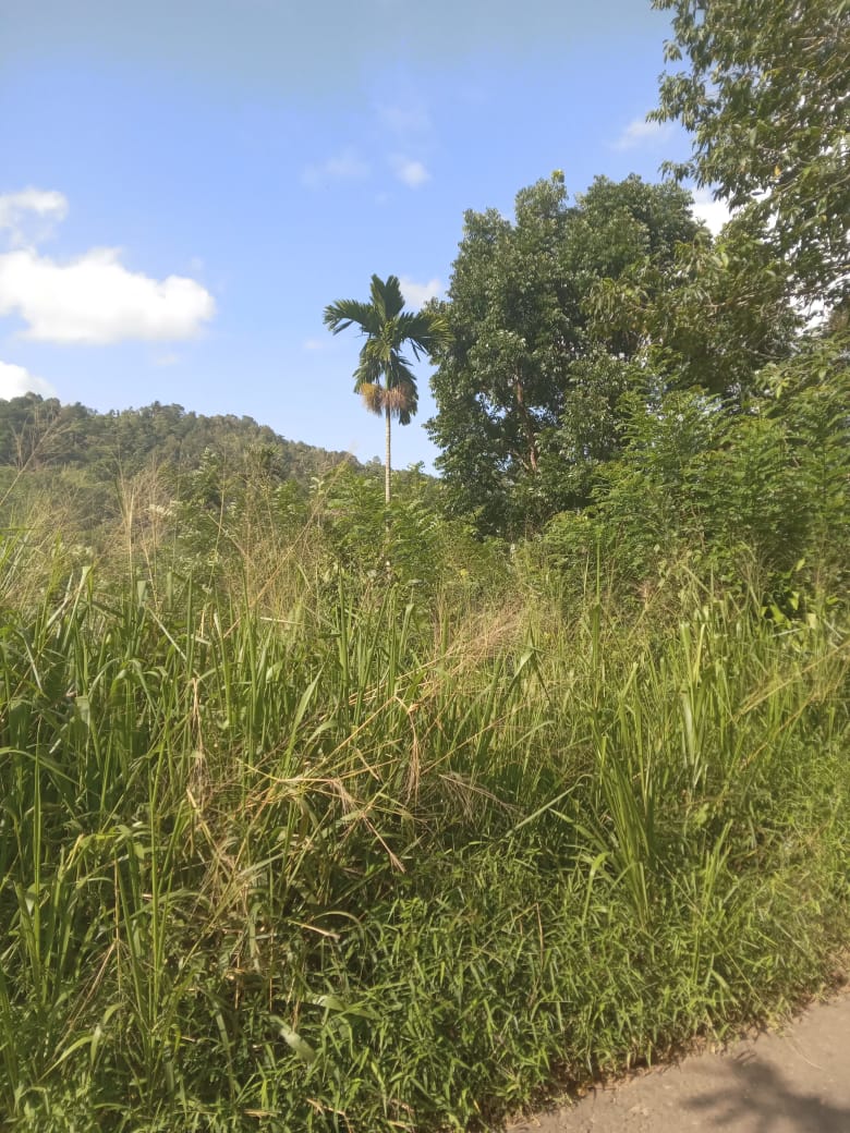 නුවර නගරයට ආසන්නයෙන් ඉඩමක් විකිනීමට යටිහලගල