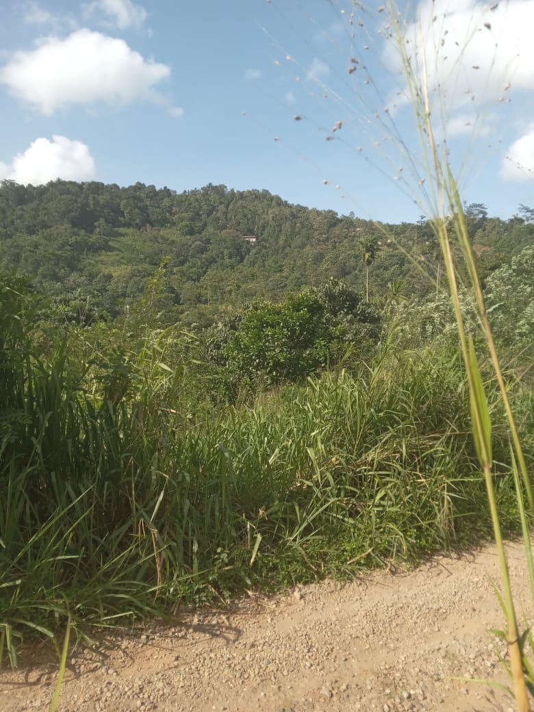 නුවර නගරයට ආසන්නයෙන් ඉඩමක් විකිනීමට යටිහලගල