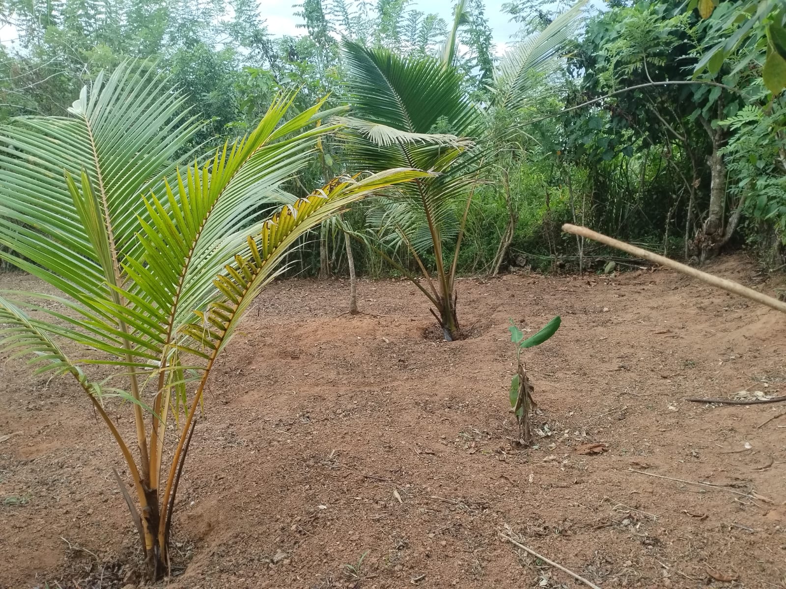 Land for sale in Godagama ,Homagama.