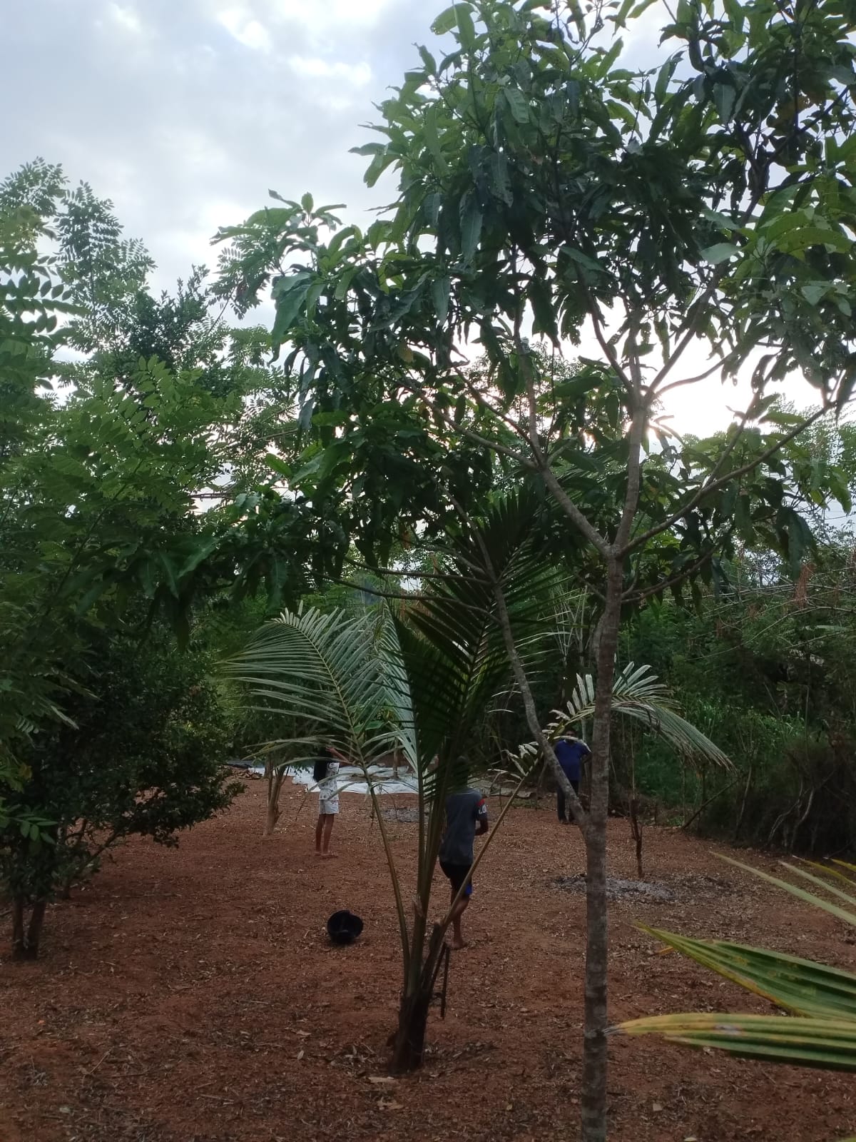 Land for sale in Godagama ,Homagama.