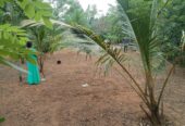Land for sale in Godagama ,Homagama.