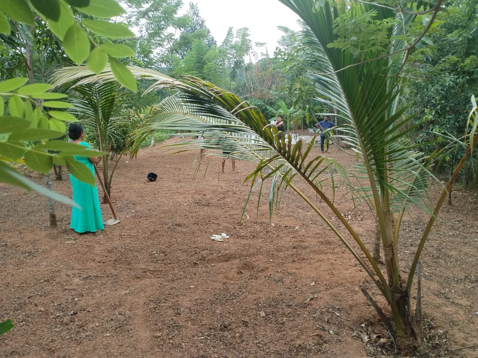 Land for sale in Godagama ,Homagama.