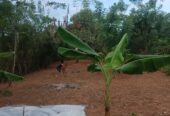 Land for sale in Godagama ,Homagama.