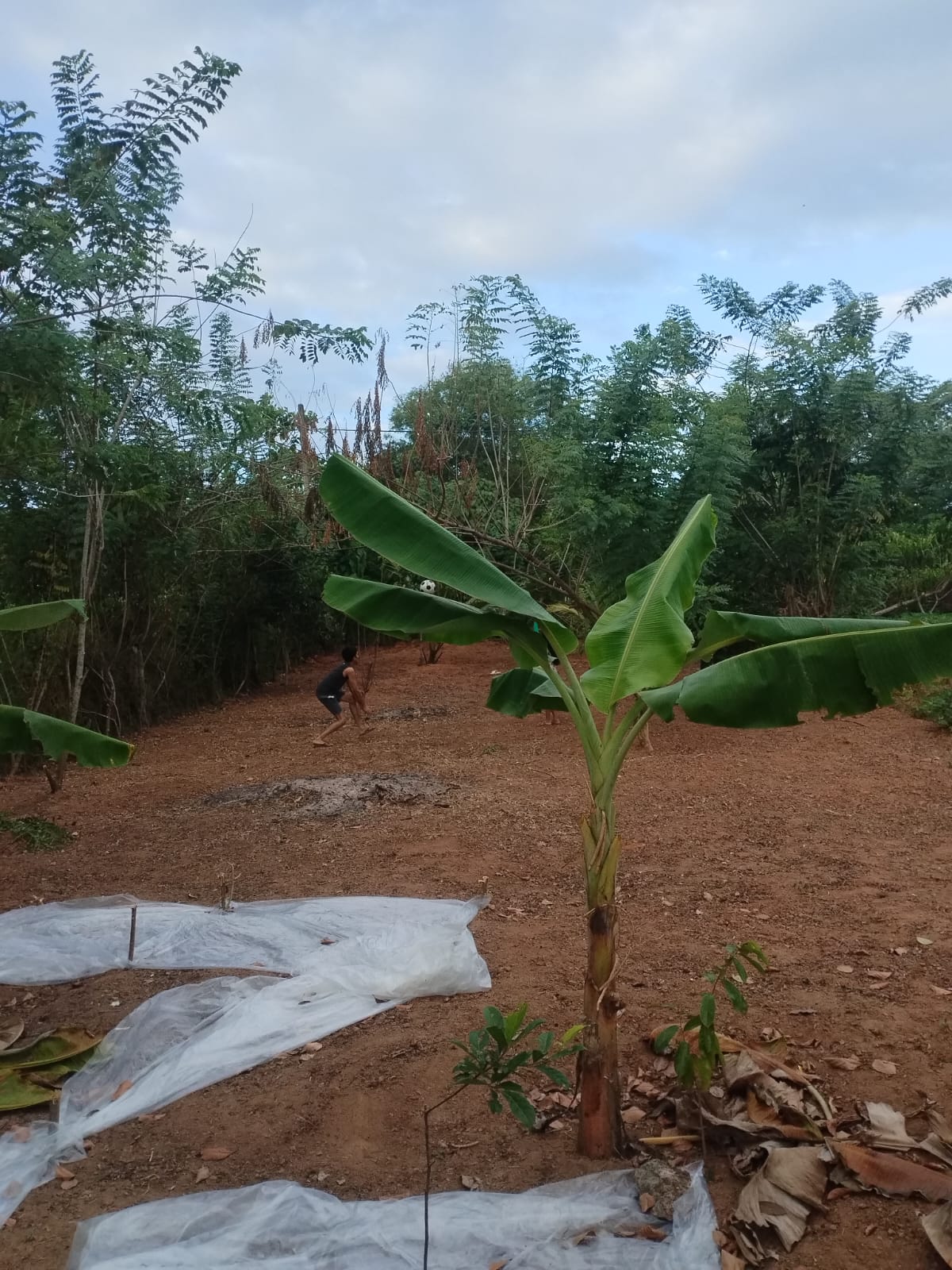 Land for sale in Godagama ,Homagama.